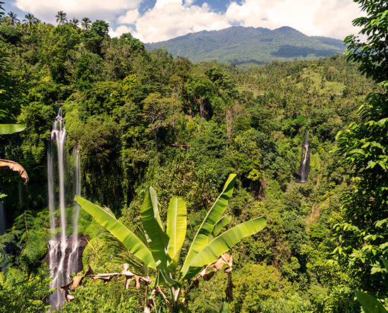 Sekumpul Waterfall