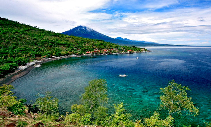 Amed Bali