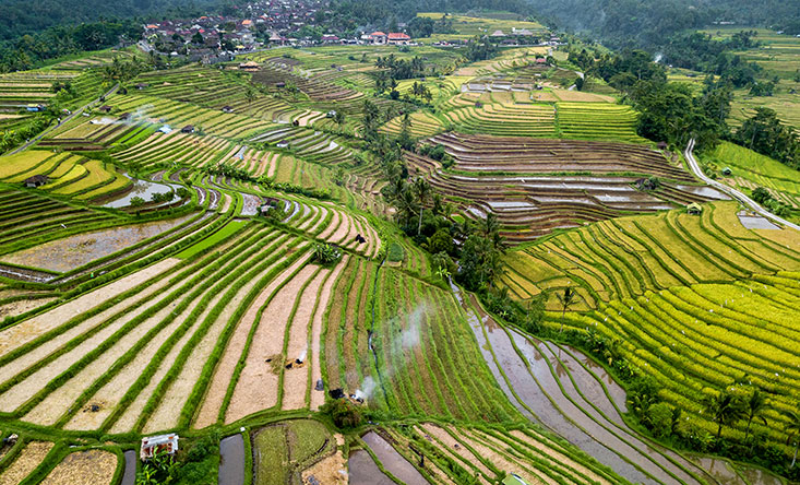 North of Bali