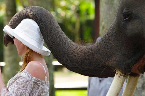 Парк слонов Бали