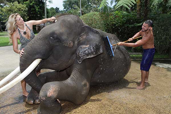 парк слонов Бали