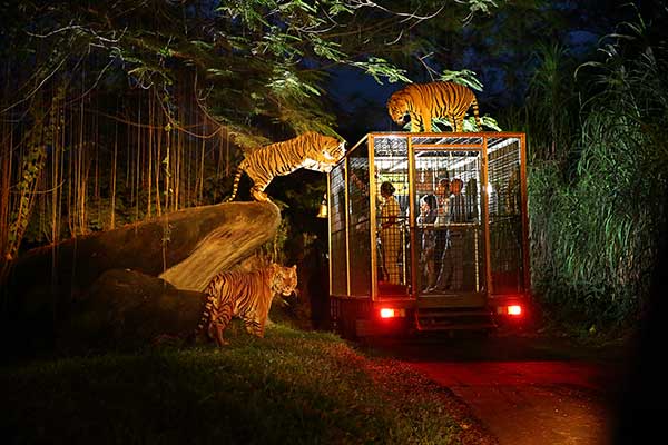 Safari park Bali