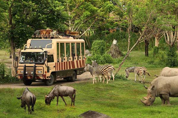 Safari park Bali