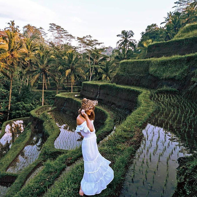 Tegalalang Rice Terraces