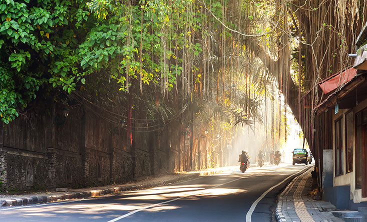 Ubud Bali